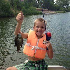 Meet your Posher, Avery